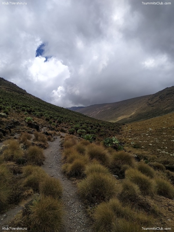 ����� �����. ������. ���� 2019. �.������, ���� 14