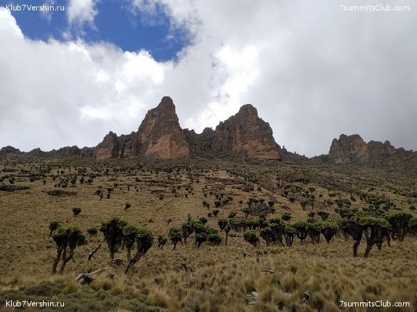 ����� �����. ������. ���� 2019. �.������, ���� 2