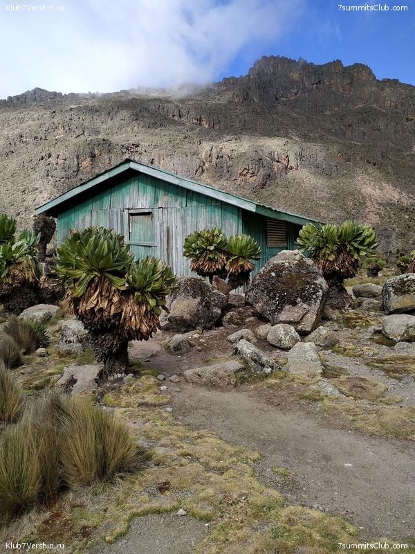 ����� �����. ������. ���� 2019. �.������, ���� 15