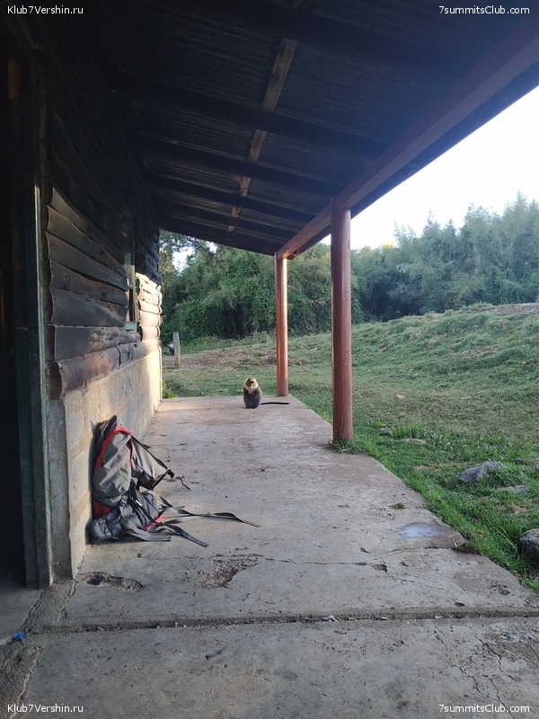 ����� �����. ������. ���� 2019. �.������, ���� 18