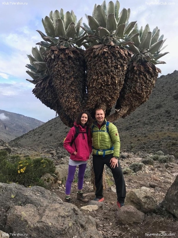 ������������ 2019 ���. ���� - ���, ���� 87