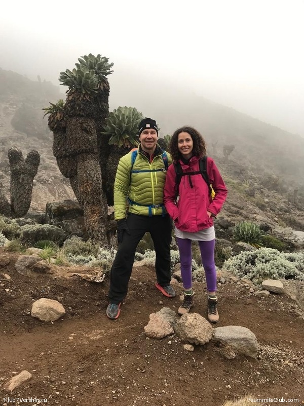 ������������ 2019 ���. ���� - ���, ���� 90