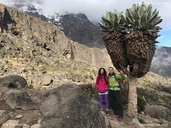 ������������ 2019 ���. ���� - ���, ���� 23