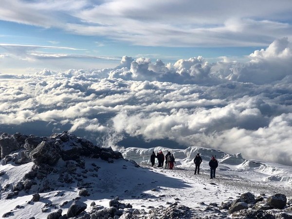 ��������, �������������� ��������, ���� 1374