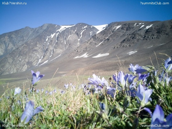 �����������, ���� 80