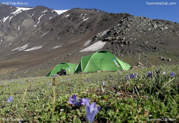 �����������, ���� 79