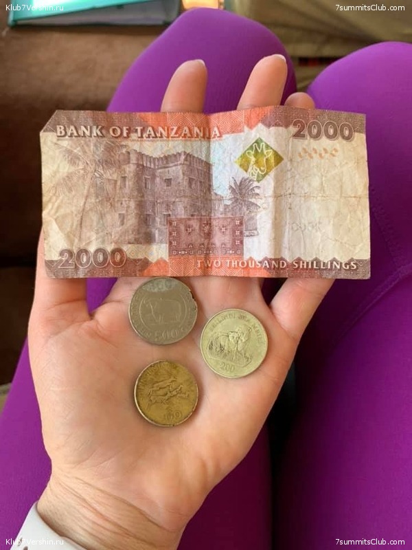 ������������ �� ���� ������.  2019 ���, �������, ���� 26