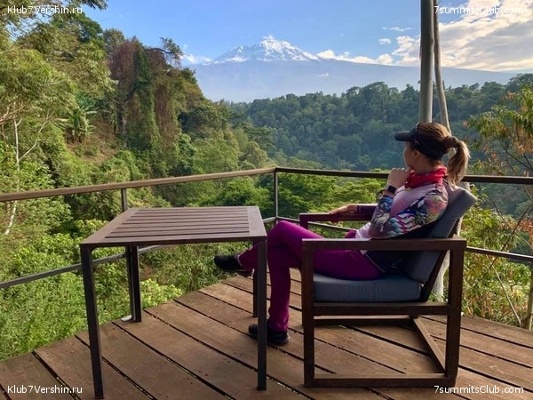 ������������ �� ���� ������.  2019 ���, �������, ���� 7