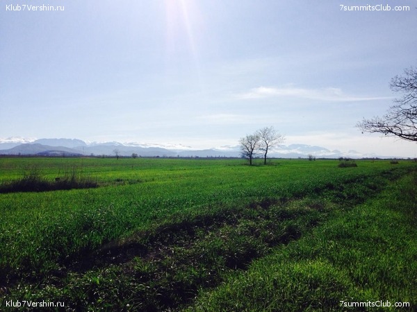 �����������, ���� 89