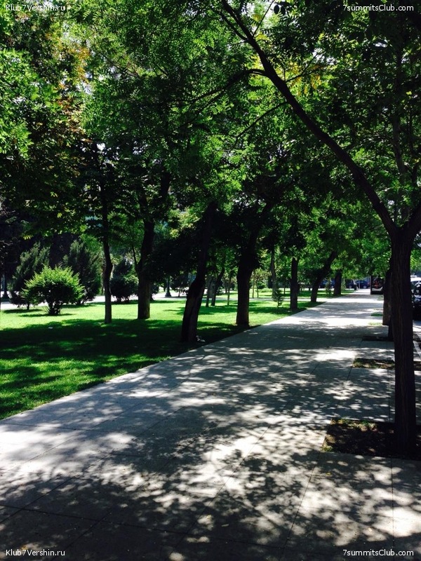 �����������, ���� 98