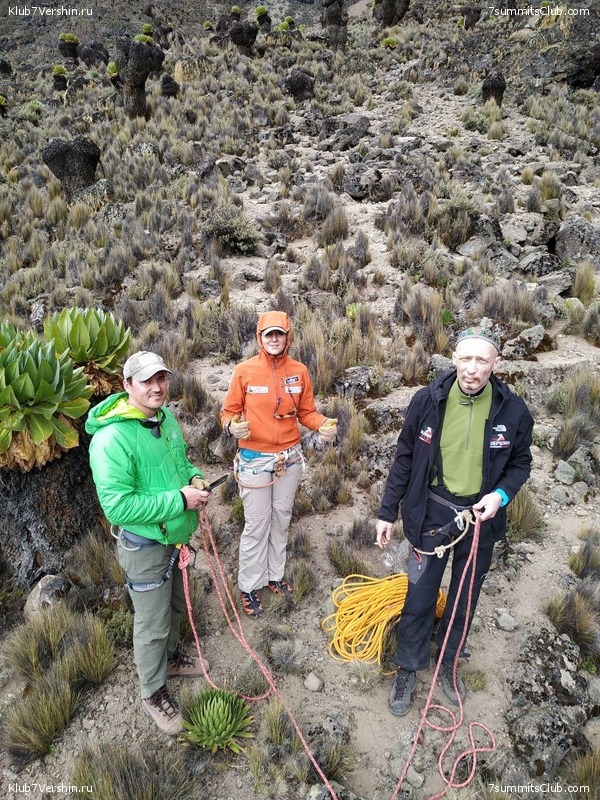 ����� �����. ������. ���� 2019. �.������, ���� 29