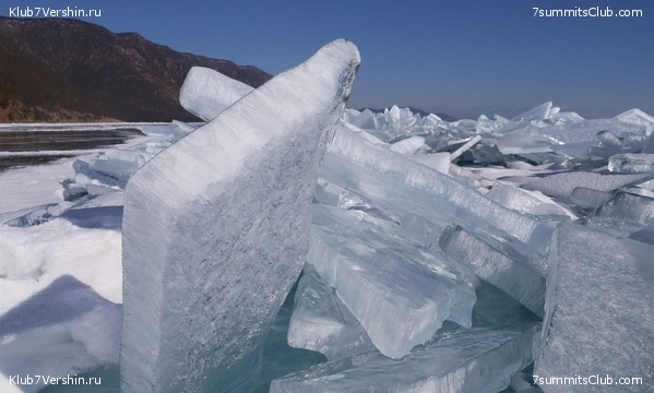 ������ 2019, ���� 7