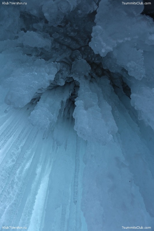 ������ 2019, ���� 100