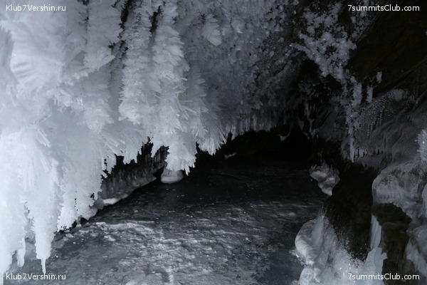 ������ 2019, ���� 44