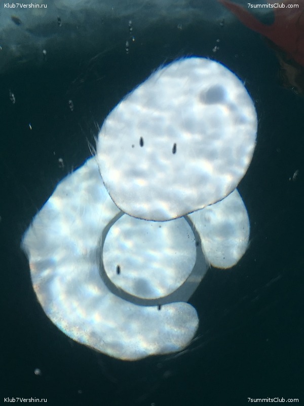 ������ 2019, ���� 91