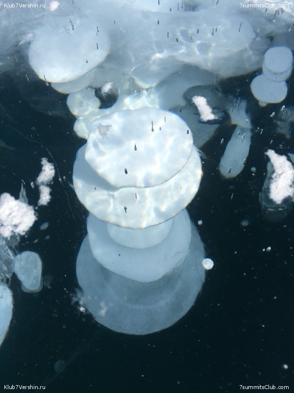 ������ 2019, ���� 93