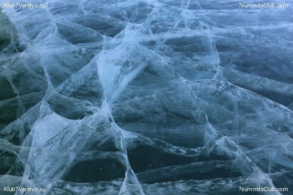 ������ 2019, ���� 61