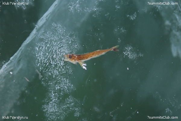 ������ 2019, ���� 65