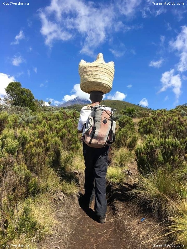 ������������ �� ���� ������.  2019 ���, �������, ���� 36