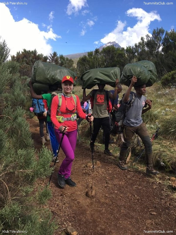 ������������ �� ���� ������.  2019 ���, �������, ���� 37