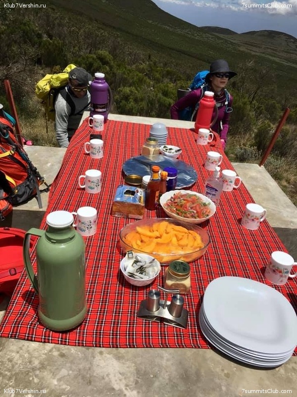 ������������ �� ���� ������.  2019 ���, �������, ���� 40