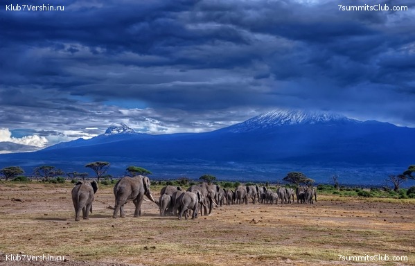 00-������������ �������, ���� 69