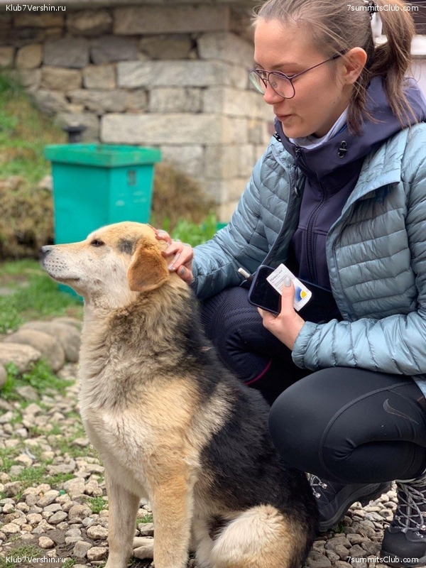 �����. ������ 2019. ������� ������ + ������ ���, ���� 37