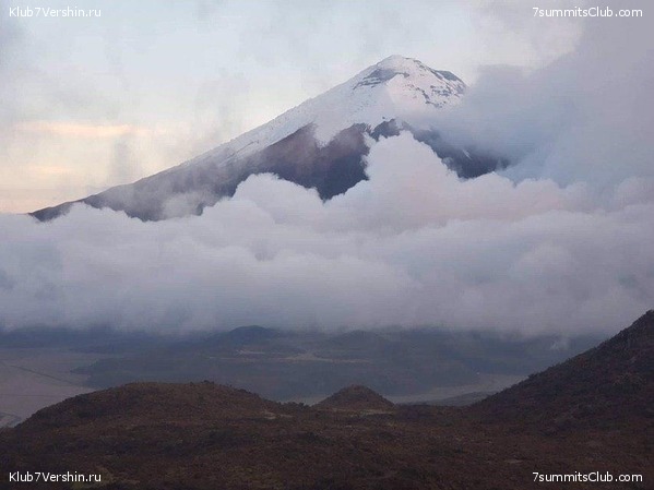 �������. ������ 2019, ���� 48