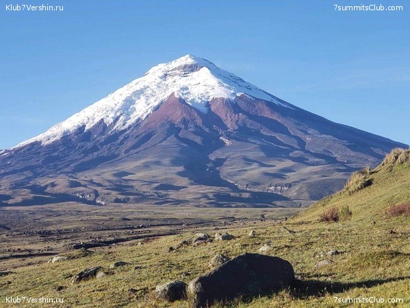 �������. ������ 2019, ���� 50