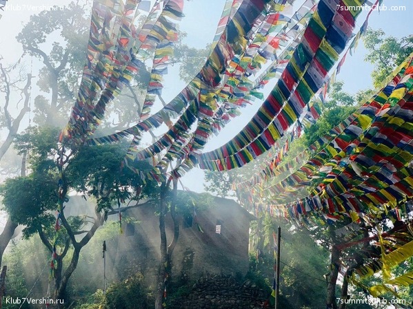 ������� 2019. ���������� � �����, ���� 10