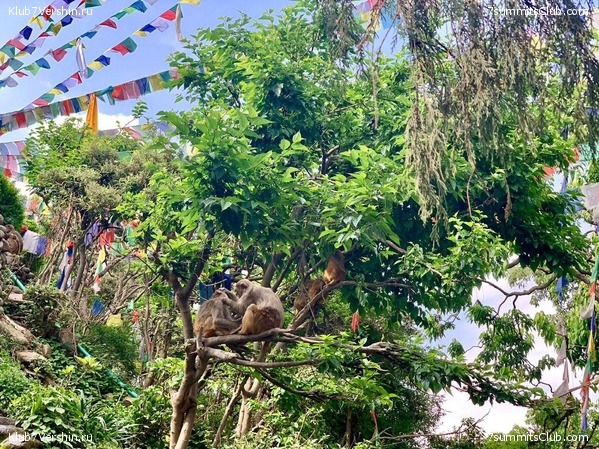 ������� 2019. ���������� � �����, ���� 11