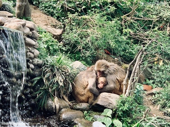 ������� 2019. ���������� � �����, ���� 12