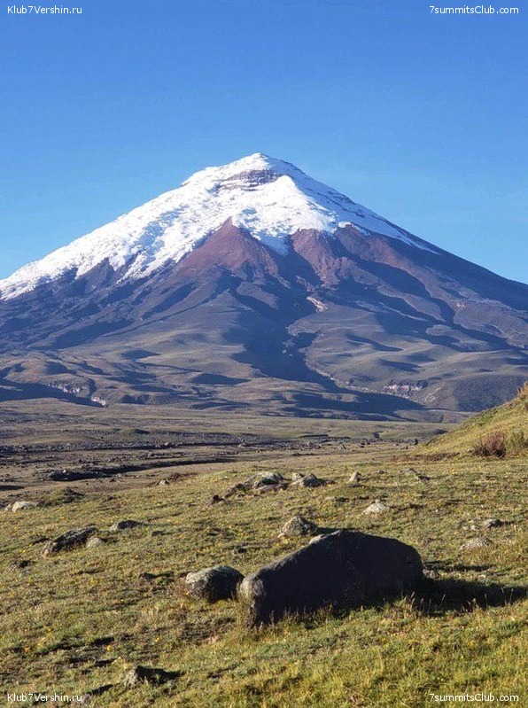 �������. ������ 2019, ���� 71