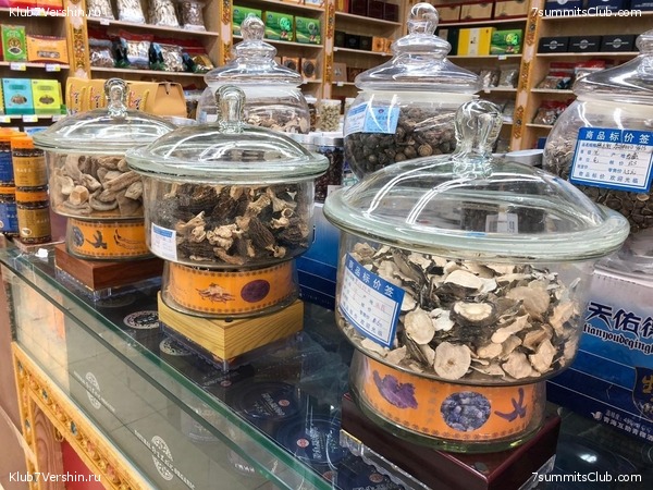 ������� 2019. ���������� � �����, ���� 64