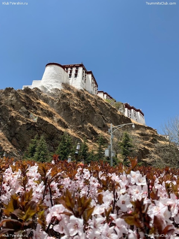 ������� 2019. ���������� � �����, ���� 116