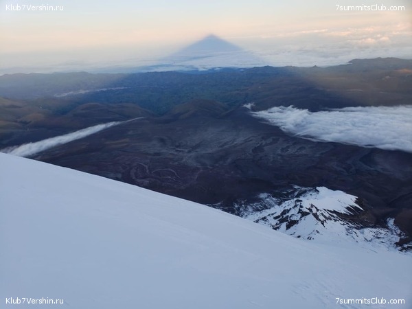 �������. ������ 2019, ���� 65