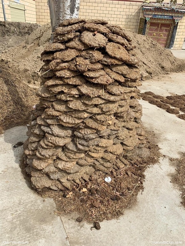 ������� 2019. ���������� � �����, ���� 129