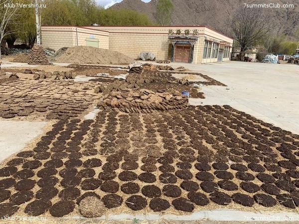 ������� 2019. ���������� � �����, ���� 90