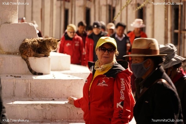 ������� 2019. ����� - ������� ������, ���� 19