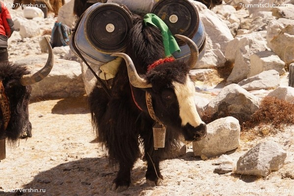 ������� 2019. ����� - ������� ������, ���� 78