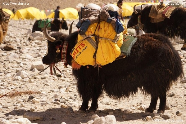 ������� 2019. ����� - ������� ������, ���� 80