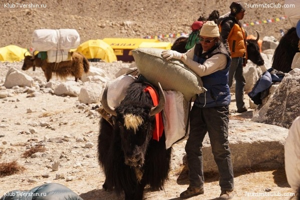 ������� 2019. ����� - ������� ������, ���� 81