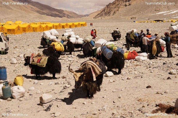 ������� 2019. ����� - ������� ������, ���� 83