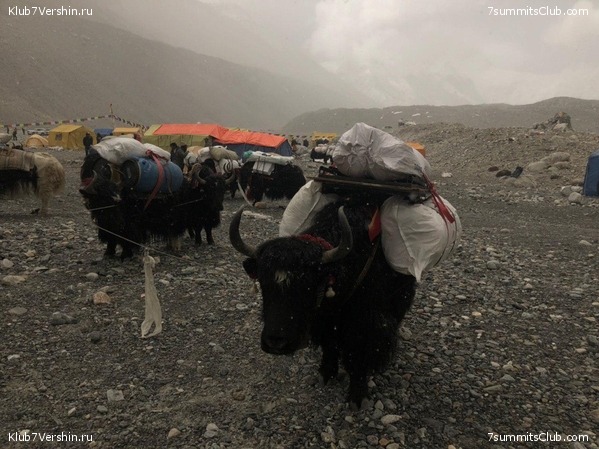 ������� 2019. ��������������, ����� 1, ���� 68