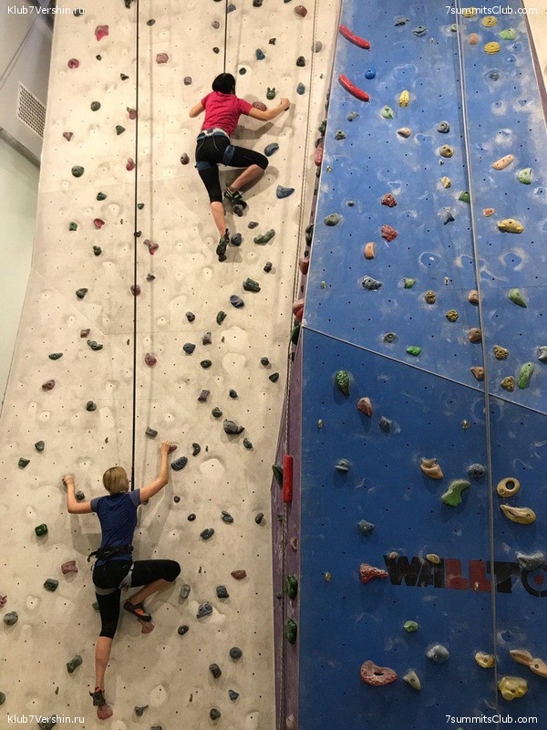 ���������� ������ ����� 2018 - 2019, ���� 117