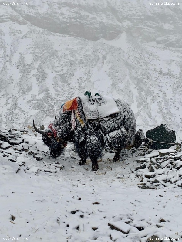 ������� 2019. ��������������, ����� 1, ���� 141