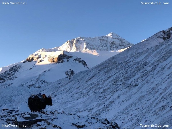 ������� 2019. ��������������, ����� 1, ���� 112