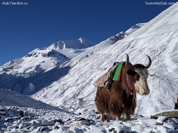 ������� 2019. ��������������, ����� 1, ���� 86