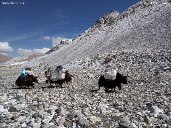 ������� 2019. ��������������, ����� 1, ���� 94