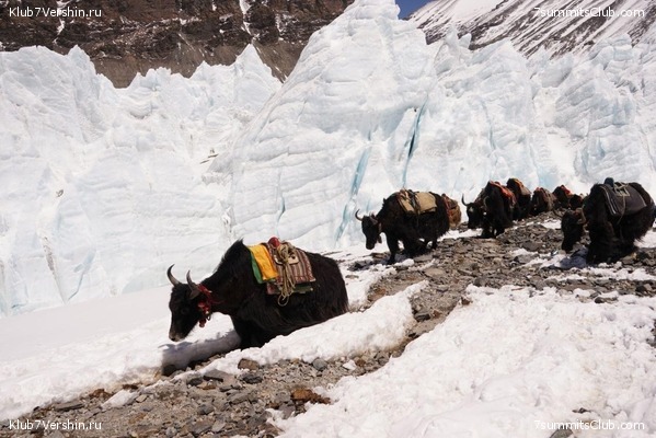 ������� 2019. ��������������, ����� 1, ���� 43